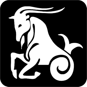    -   81 .