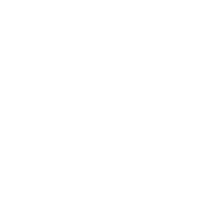      4x4 -   84 .