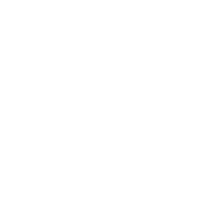        -   133 .