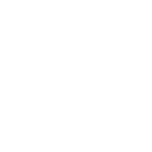        -   161 .