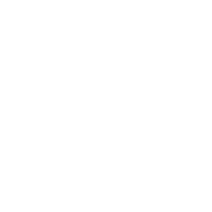      л -   5 .