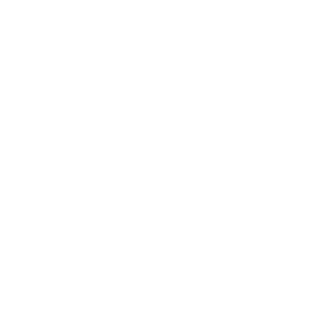     Monster Truck -   133 .