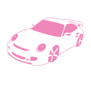      Porsche -   100 .