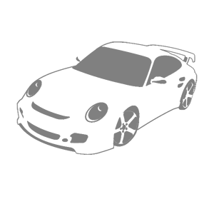      Porsche -   100 .