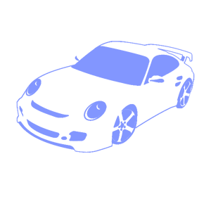      Porsche -   100 .