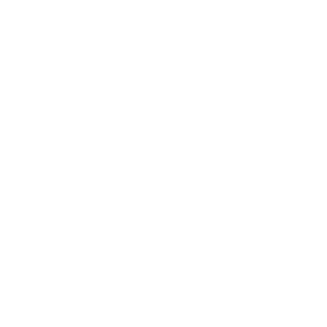      Renault logo -   63 .