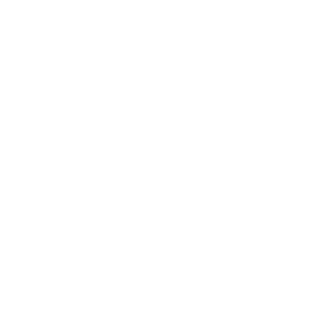      SAAB Scania -   124 .