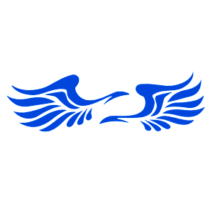    -   75 .