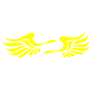    -   75 .