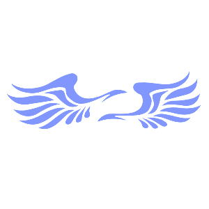    -   75 .