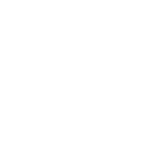      Skoda logo -   124 .