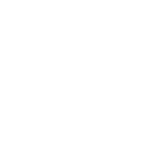      Subaru -   80 .