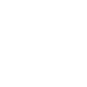   Toyota ()