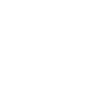      GAZ Mafia -   100 .