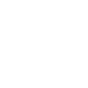         -   161 .