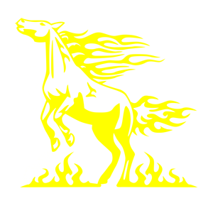      - -   171 .