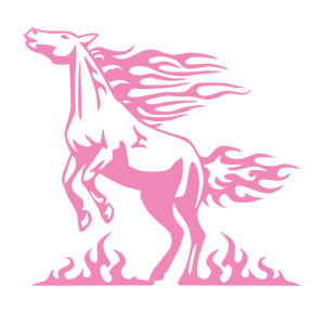      - -   171 .