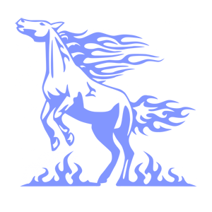      - -   171 .