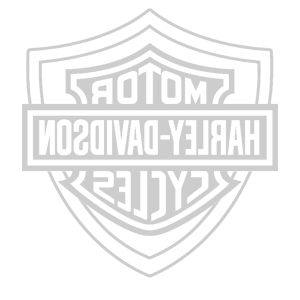    -  Harley Davidson -   161 .