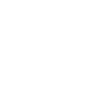      -  -   161 .