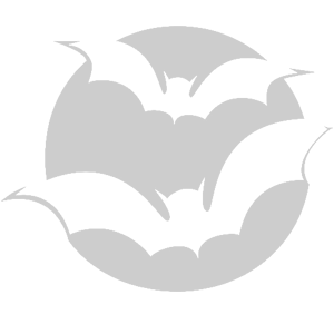 ����������� �� ����������� ���������� �������� �������� ���� - ������ �� 84 ���.