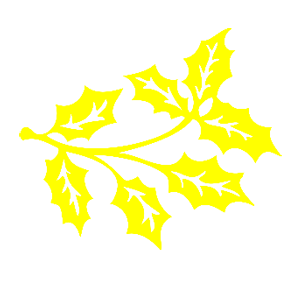         -   124 .