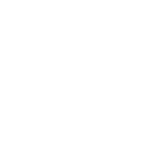        -   133 .