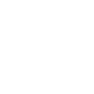        л -   88 .
