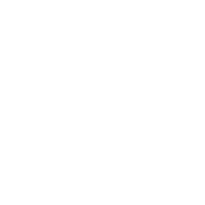     л -   131 .