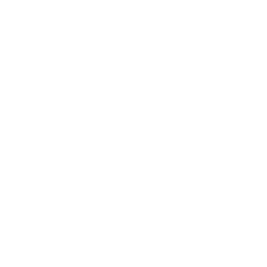        л -   131 .