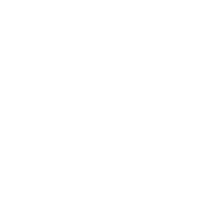      - -   133 .