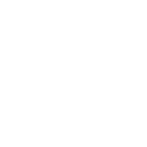 ����������� �� ����������� ����� �������� �������-��-���� - ������ �� 133 ���.