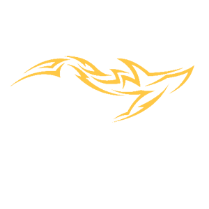       -   70 .