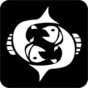    -   81 .