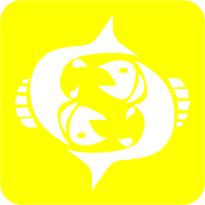    -   81 .