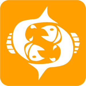    -   81 .