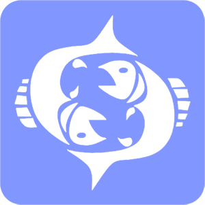    -   81 .