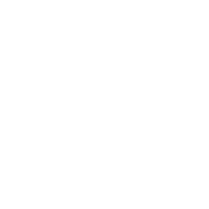          -   133 .