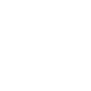        -   133 .