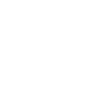 ����������� �� ����������� ����� �������� ������������ - ������ �� 133 ���.