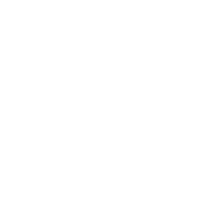        -   133 .