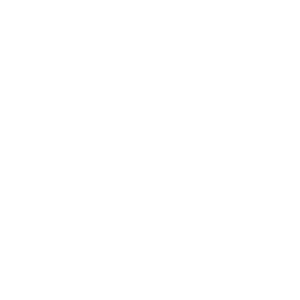        -   133 .