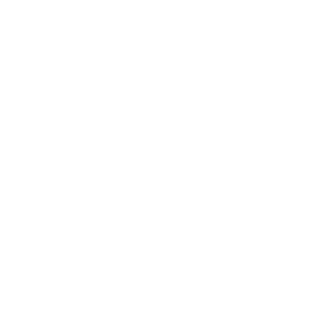      - -   133 .