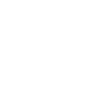    !  ! -   133 .
