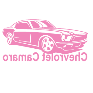      Chevrolet Camaro -   110 .