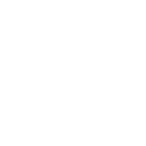      Chevrolet Camaro -   110 .