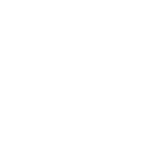        -   133 .