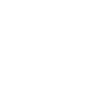      - -   133 .