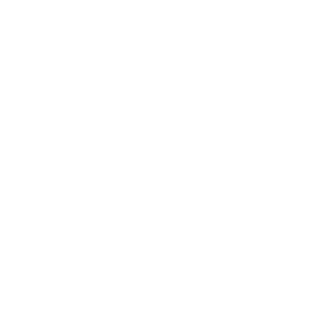 ����������� �� ����������� ����� �������� �������� - ������ �� 133 ���.