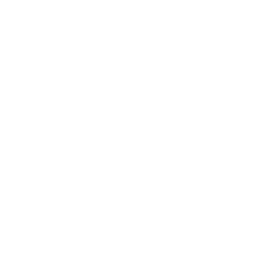      - -   133 .